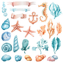 Watercolor Hand Painted Nautical Clipart. Can Be Used For Print, Poster, Design Wrapping Paper, Packaging, Travel Blog, Pattern