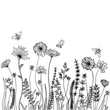 Black Silhouettes Of Grass, Spikes And Herbs Isolated On White Background. Hand Drawn Sketch Flowers And Bees.