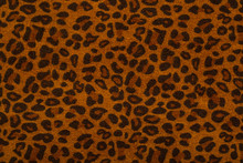Leopard Spotted Fur Texture Background