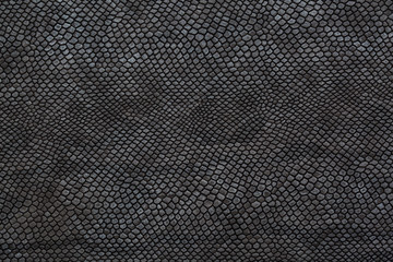 black snake skin texture for background