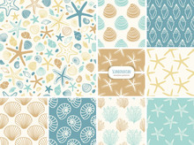 Set Of Seamless Patterns With Hand Drawn Seashells, Neutral Colors Marine Theme In Minimal Scandinavian Style