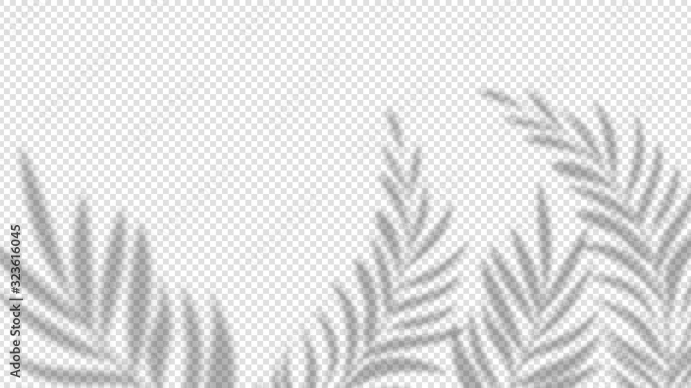 Shadow palm leaves. Overlay plant effect on transparent background. Summer minimalistic blurred nature vector banner. Palm shadow overlap, covers branch leaf illustration - obrazy, fototapety, plakaty 