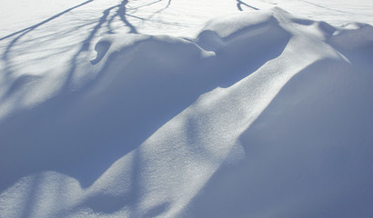 Canvas Print - snow and shadows. texture background snow surface the snow