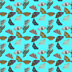 Sticker - Butterflies. Seamless pattern.