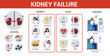 Kidney failure infographic. Symptoms, causes, prevention and treatment.