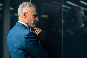 The mature businessman standing indoor