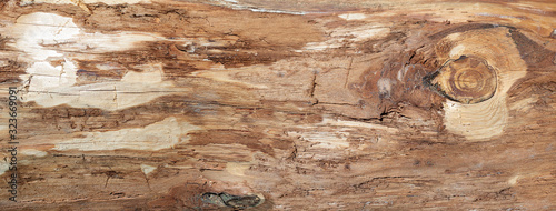 Grobe braune Holzstruktur der Oberfläche eines Baumstammes ohne Rinde in Nahaufn Tableau sur Toile