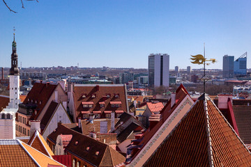 Wall Mural - Panoramic view, aerial skyline of Old City Town, architecture, roofs of houses and landscape, Tallinn, Estonia. 