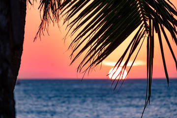 Boracay, Philippines - Jan 21, 2020: Sunset on the background of bottles standing on the bar. The sun passes through the bright glass of the bottles. Background image for the screensaver.