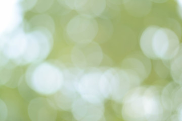 Sticker - background green olive bokeh
