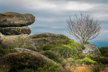 The Rock Formations At Brimham In Nidderdale Are Scattered Over 50 Acres On Brimham Moor