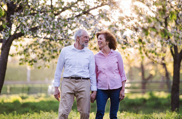 Wall Mural - Beautiful senior couple in love outside in spring nature, walking.