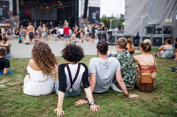 Rear view of group of young friends at summer festival, sitting on ground.