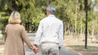 © winnievinzence - Back of man and woman holding hand and walking at park, Love marriage lifestyle goals, Happy retirement elder couple spending time, talking, sharing and relaxing together, life insurance concept