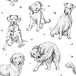 Cute seamless pattern with puppies. Pencil drawn dalmatian, retriever, shepherd, terrier. Background with dog perfect for children's textiles, wrapping, cards, cover, wallpaper, veterinary