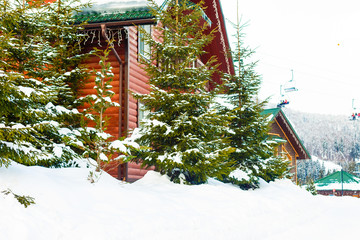 Wall Mural - wooden house in winter forest