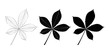 Vector set of chestnut leaves, outline and silhouette.