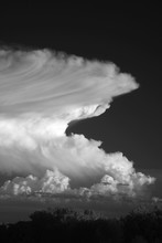 Vertical Black And White Shot Of A Beautiful Thunderhead Cloud Formation.