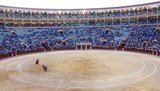 Bull Fighting Madrid Spain San Isidro