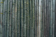 Bamboo for background; vintage style