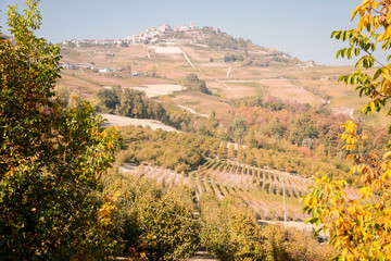 Countryside of Barolo, famous wine production city of Langhe, Piedmont, Italy