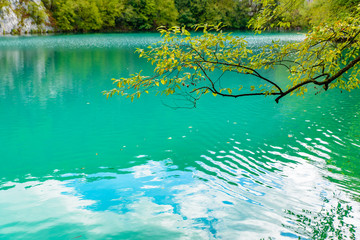 Plitvice Lakes National Park (Plitvička Jezera) with turquoise lake, Croatia