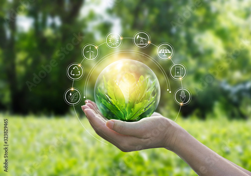 Fotomural Hands protecting globe of green tree on tropical nature summer background, Ecolo