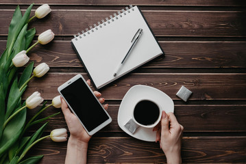 Wall Mural - White tulips on a wooden table with an empty notebook, smartphone and a Cup of coffee in women's hands