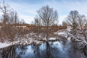 Wall Mural - Bare Trees with Snow