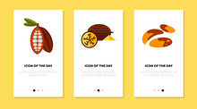 Exotic Nuts Flat Icon Set. Pecan, Dessert, Nutrition Isolated Vector Sign Pack. Food And Health Concept. Vector Illustration Symbol Elements For Web Design And Apps
