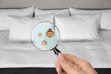 Woman With Magnifying Glass Detecting Bed Bugs, Closeup