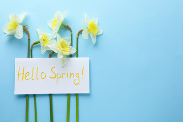 Wall Mural - Card with words HELLO SPRING and fresh flowers on light blue background, flat lay. Space for text