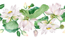 White Lotus Flowers Seamless Pattern. Watercolor Botanical Illustration.
