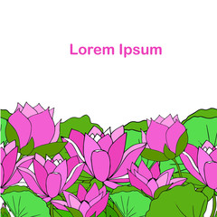 Wall Mural - Lotus pink flowers, green leaves background, Lorem Ipsum art design element stock vector illustration for web, for print, for fabric print, for cover, for wallpaper