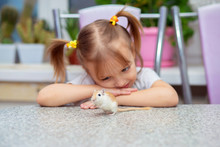 Little Cute Girl Plays At A Table With A Gerbil. Pets With Children