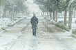 © mknisanci - Walking Man