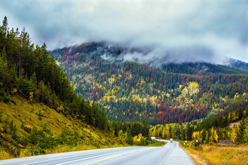 Wall Mural - The autumn multicolored forests