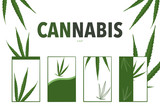 Fototapeta Sypialnia - Green cannabis leaf, marijuana isolated on white background. Green greeting card.