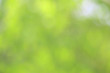 © Nattawut - Bokeh green nature, Subtle background in abstract style for graphic design