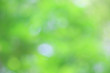 © Nattawut - Bokeh green nature, Subtle background in abstract style for graphic design