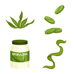 Wall Mural - Vector illustration of spirulina and seaweed symbol. Collection of spirulina and vegan vector icon for stock.
