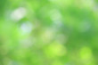 © Nattawut - Bokeh green nature, Subtle background in abstract style for graphic design