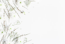 Flowers Composition. White Flowers On White Background. Spring Concept. Flat Lay, Top View, Copy Space