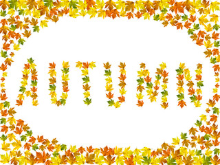 Wall Mural - Autumn written with maple leaf copies isolated on white background. Creative fall season concept.