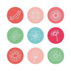 Wall Mural - Flowers inside circles line block style icon set vector design