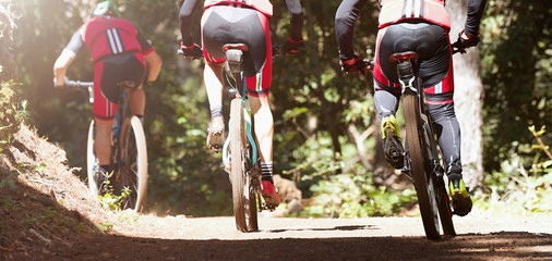 Poster - Group of athletes mountain biking on forest trail, mountain bike race