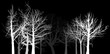 forest from grey bare trees isolated on black