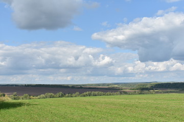 green field and blue sky