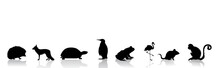 Vector Silhouette Of Collection Of Wild Animals On White Background. Symbol Of Nature.
