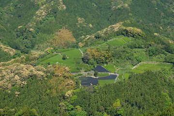 Beautiful organic tea field at Setoya, Japan. Shizuoka is one of the major prefecture that producing japanese green tea.